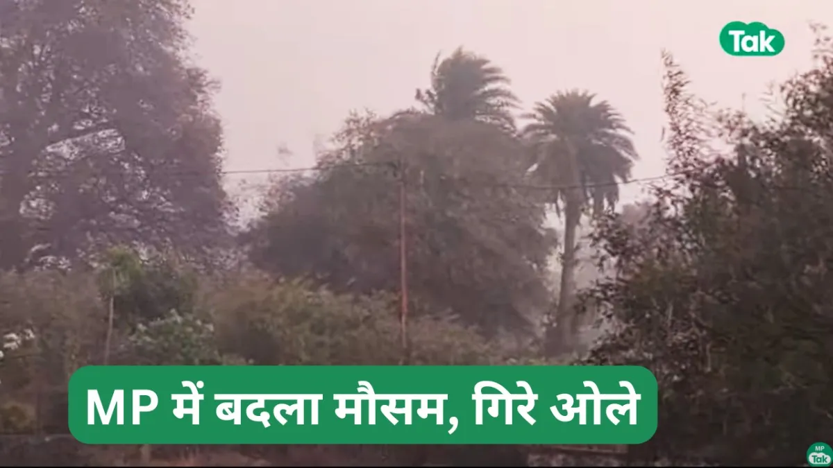 मध्य प्रदेश में तेज गर्मी के बीच बारिश और ओले गिर रहे हैं.