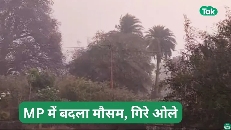 MP Weather Update: गर्मी से झुलस रहे मध्यप्रदेश के छिंदवाड़ा में बारिश और ओलावृष्टि ने चौंकाया मध्य प्रदेश में तेज गर्मी के बीच बारिश और ओले गिर रहे हैं.