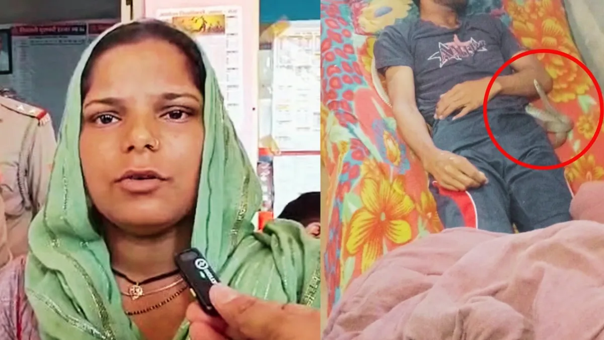 मेरठ में नीले ड्रम के बाद सामने आया स्नेक कांड, ऐसे खुला पूरा मामला 