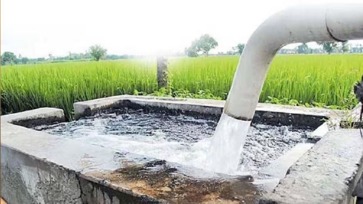 बिहार में सिंचाई को नई रफ्तार, धड़हर योजना से सैकड़ों किसानों को मिलेगा लाभ NewsTak
