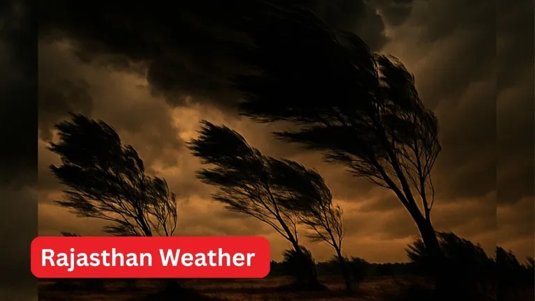 राजस्थान के इन जिलों में तूफानी आंधी और भारी बारिश मचाएगी तबाही ! IMD अलर्ट NewsTak