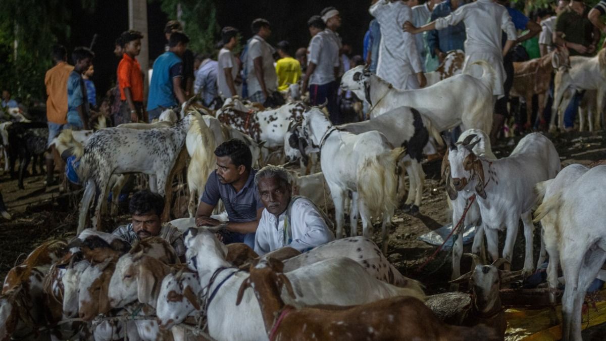 बकरीद 2025 पर दिल्ली सरकार की सख्त एडवाइजरी, सार्वजनिक स्थानों पर कुर्बानी और सोशल मीडिया पोस्ट पर रोक