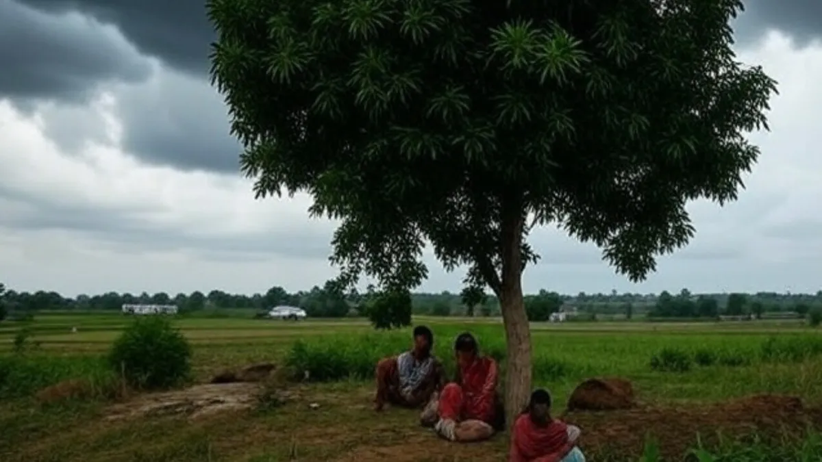 छत्तीसगढ़ में बारिश की कमी और तेज गर्मी, बस्तर के 4 जिलों में येलो अलर्ट और 50km/h की हवाओं की चेतावनी