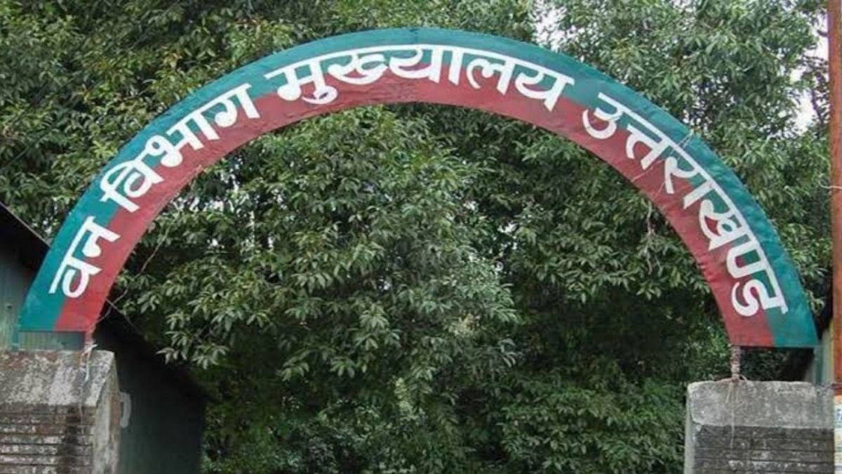 उत्तराखंड वन विभाग में हुआ बड़ा घोटाला, 10 का पौधा 100 में खरीद 11.86 लाख के प्रोजेक्ट को 52 लाख का बनाया! उत्तराखंड वन विभाग मियावाकी पौधरोपण घोटाला स्थल की तस्वीर