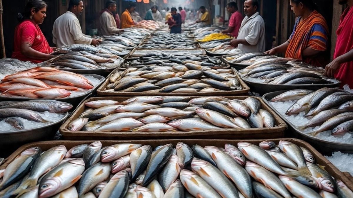 बिहार में मछली पालकों के लिए सुनहरा मौका, भारी सब्सिडी के साथ आत्मनिर्भरता की नई उड़ान मछली पालन तालाब में किसान, सरकारी योजना का लाभ लेते हुए