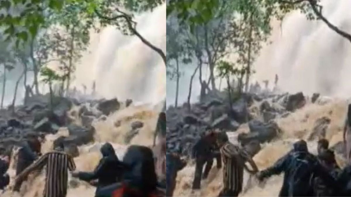 डांग जिले के भिगू झरने में अचानक उफान, बाल-बाल बचे पर्यटक, वायरल हो रहा है घटना का खौफनाक वीडियो Gujarat Flood