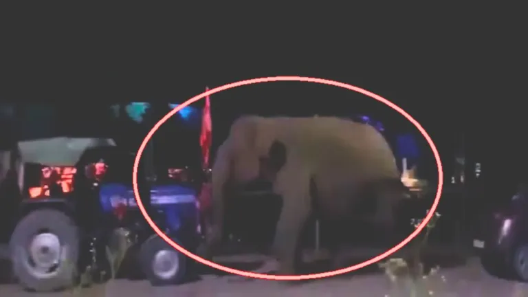 देहरादून में कांवड़ यात्रा के बीच पहुंचा जंगली हाथी, सड़क पर मचाया तांडव, ट्रैक्टर को पलटा, भंडारे में कांवड़ियों को दौड़ाया uttarakhand news