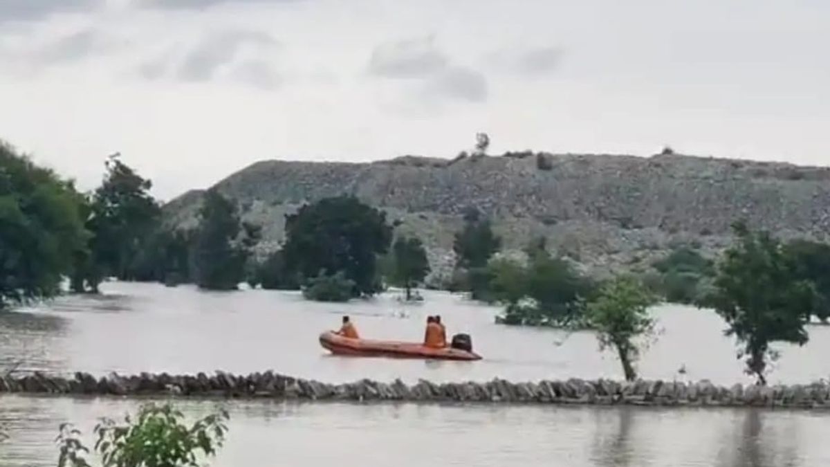 राजस्थान में भारी बारिश का कहर, सवाई माधोपुर का मध्यप्रदेश से संपर्क टूटा, कई जिलों में अलर्ट जारी Rajasthan Weather