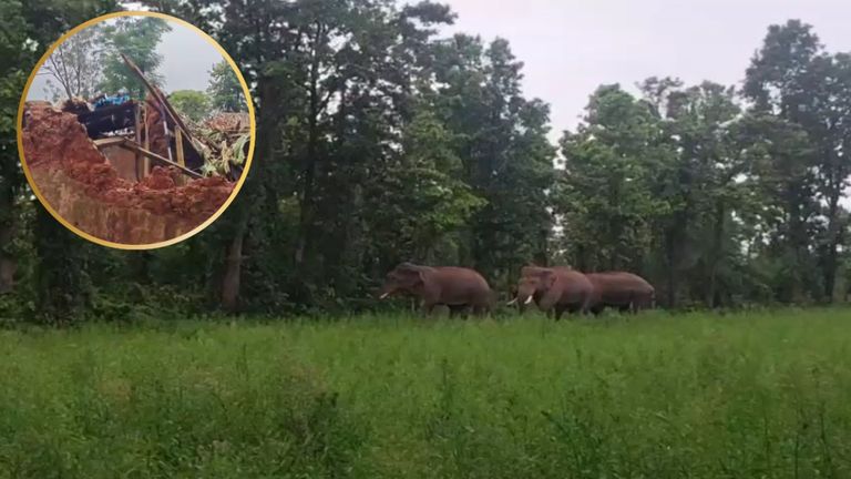सरगुजा में हाथियों ने मचाया आतंक, रोपा लगाकर लौट रहे बाप-बेटी को कुचला, कहर का वीडियो आया सामने सरगुजा में हाथियों ने बाप-बेटी को कुचला, गांव में मचा हड़कंप