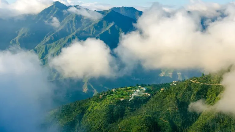 अब मसूरी जाने से पहले करना होगा रजिस्ट्रेशन, भीड़ और ट्रैरिफ की समस्या से निपटने के लिए प्रशासन ने लिया फैसला Mussoorie Registration News