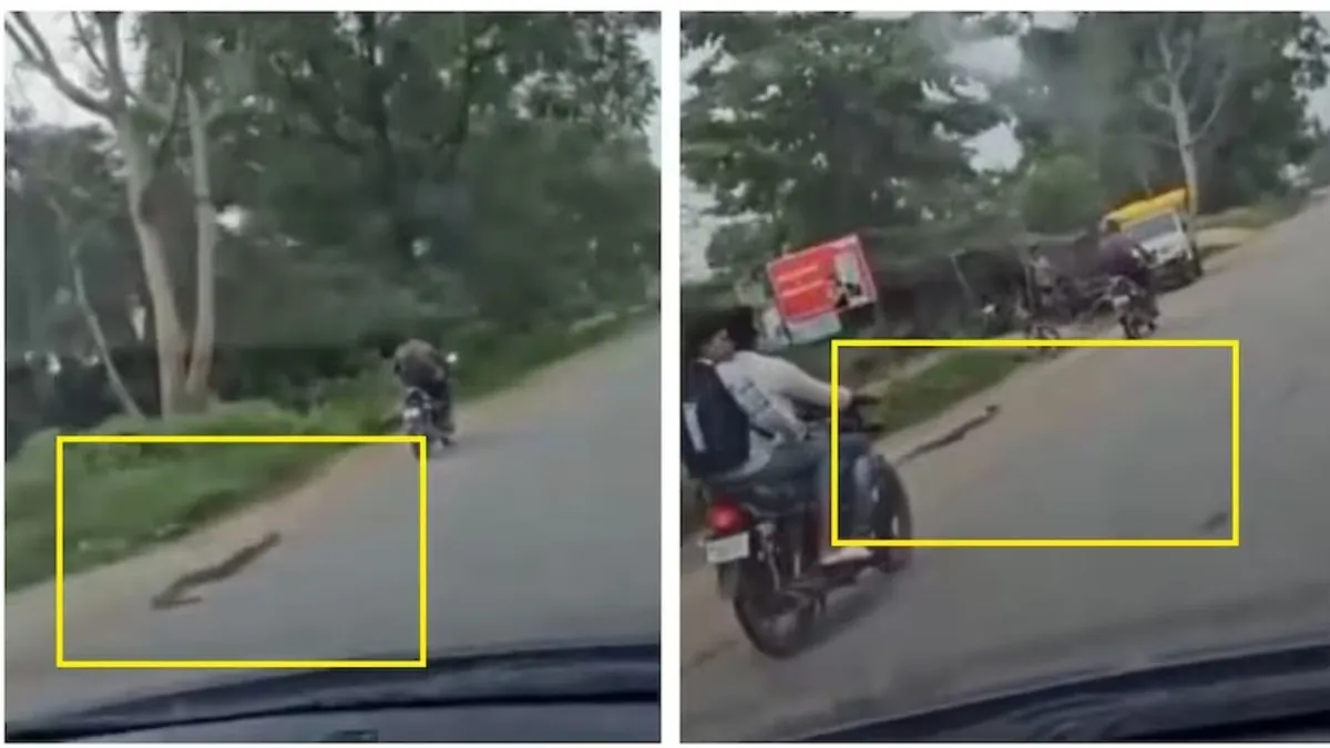 Chattisgarh Viral Video