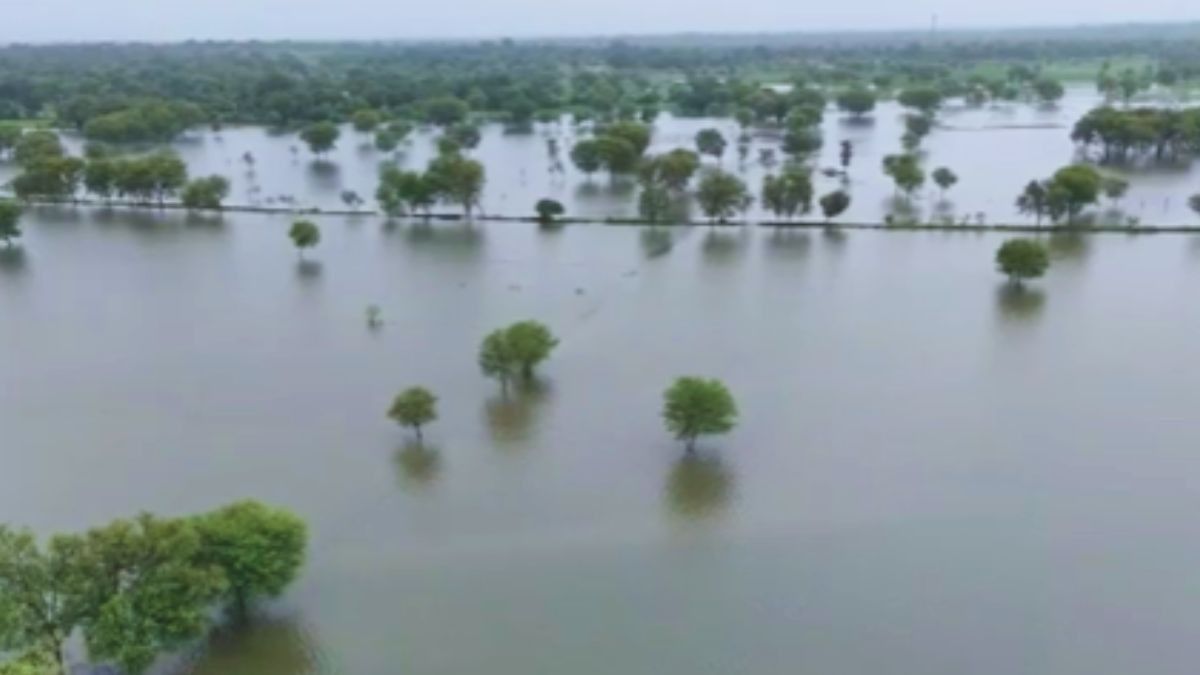Rajasthan Weather: अलवर, जयपुर समेत कई जिलों में बारिश का अलर्ट जारी, IMD ने जारी किया लेटेस्ट अपडेट NewsTak