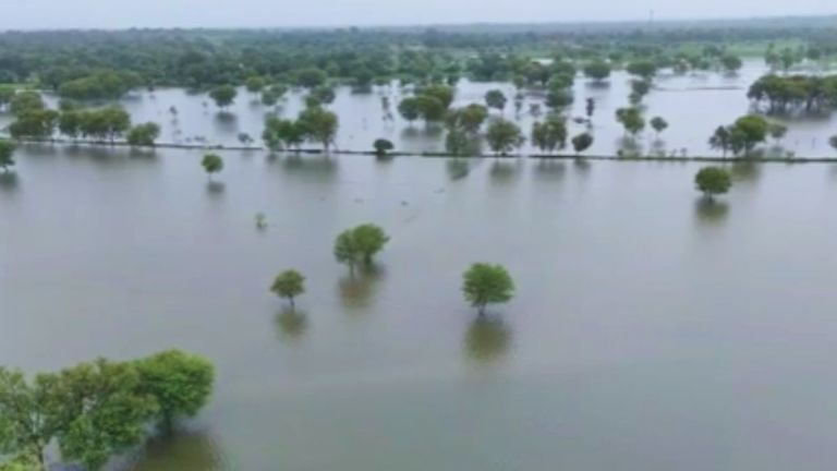 Rajasthan Weather: अलवर, जयपुर समेत कई जिलों में बारिश का अलर्ट जारी, IMD ने जारी किया लेटेस्ट अपडेट NewsTak