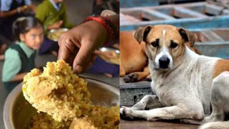 सरकारी स्कूल में परोसा गया कुत्ते का जूठा खाना, भड़के परिजन, 78 बच्चों को लगानी पड़ी एंटी-रेबीज वैक्सीन Chattisgarh Mid day meal