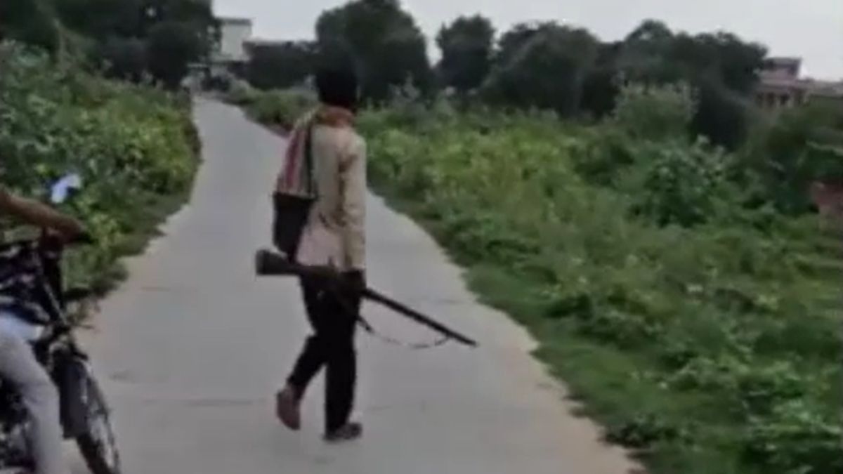 डर के मारे छुपकर घूम रहे कुत्ते...झुंझुनूं में शख्स ने अबतक 25 मासूम कुत्तों को मारी गोली, लेकिन क्यों? NewsTak