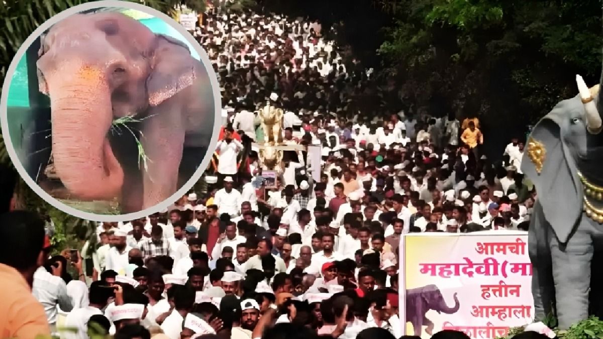 एक हथिनी के लिए Jio का बहिष्कार क्यों कर रहे कोल्हापुर वाले, क्या है महादेवी की कहानी?