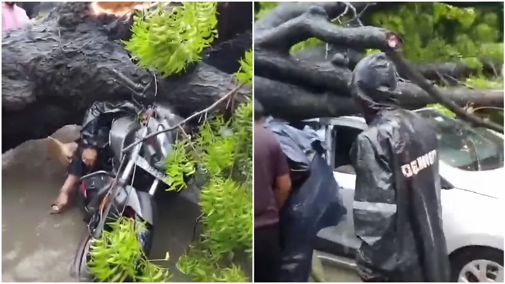 Tree falls on biker during heavy rain in Delhi's Kalkaji, killing one and injuring daughter