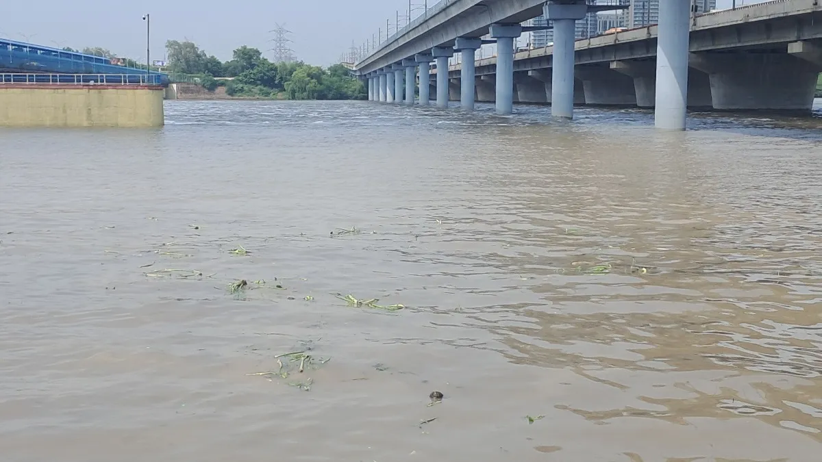 Delhi flood alert, Yamuna river level, Delhi rainfall news, Okhla barrage gates, Kalindi Kunj flood, Delhi weather update, Delhi heavy rain, Haryana water release, Yamuna danger mark, Delhi flood situation
