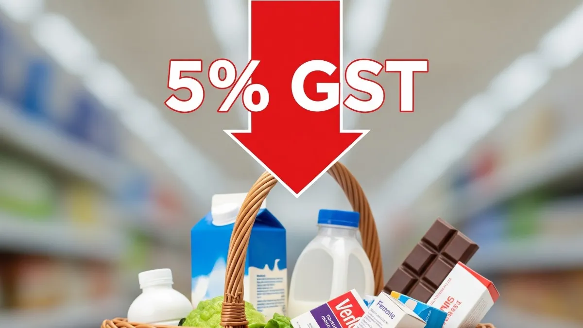 12-18% GST स्लैब खत्म, 22 सितंबर से सस्ते होंगे 250 से ज्यादा सामान, सिर्फ 5% में मिलेंगी ये चीजें GST REFORM