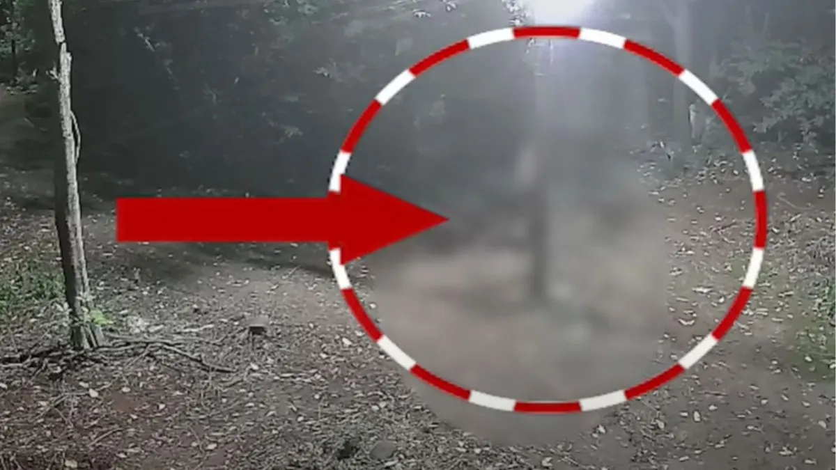 मध्यप्रदेश