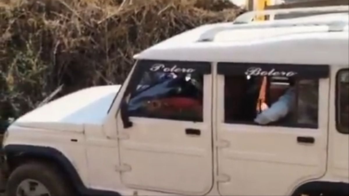 सीकर में सांड की बेरहमी से हत्या, बोलेरो गाड़ी से टक्कर मारकर गर्दन कुचली, एक आरोपी गिरफ्तार