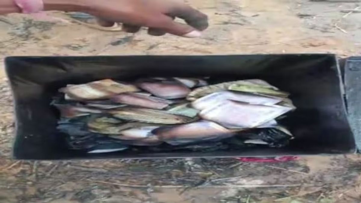 झोपड़ी में अचानक आग लगी...10 लाख रुपये का कैश मिनटों में हुआ राख, विस्थापन के दौरान मिला था मुआवजा Alwar News: