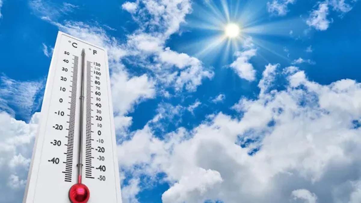 हरियाणा में पश्चिमी विक्षोभ का असर खत्म, बढ़ने लगी ठंड, IMD ने जारी किया ताजा अपडेट 