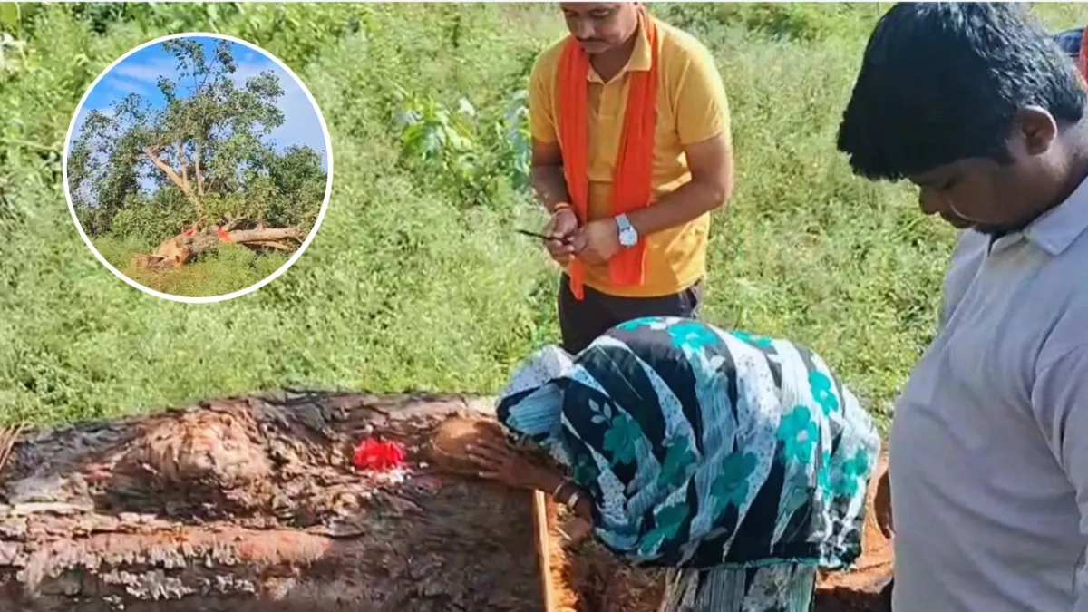 chhattisgarh viral video