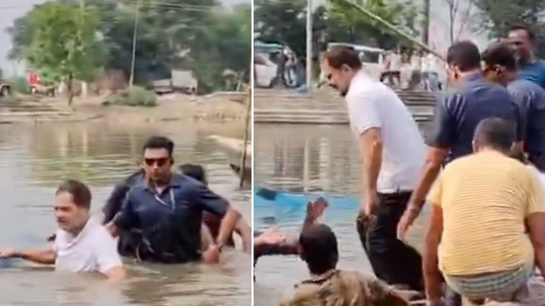 बेगूसराय : तालाब में उतरकर मछली पकड़ते दिखें राहुल गांधी  (Photo: X/@ANI)