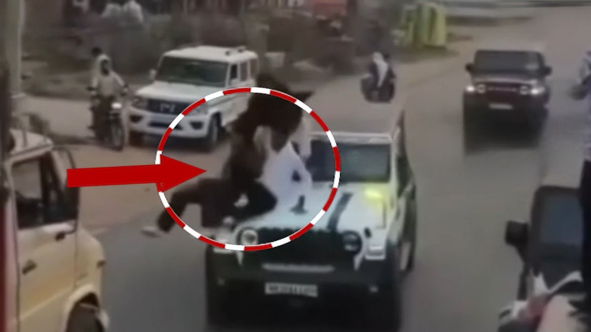 चलती थार की छत पर झूम रहे थे तीन युवक...सामने से आया कैंटर और एक सेकंड में बदल गया नजारा, देखें वीडियो Mewat News