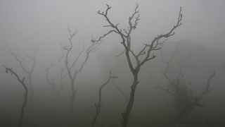 राजस्थान में सर्दी का 'डबल अटैक'! फतेहपुर में रिकॉर्डतोड़ ठंड, 7 दिन तक मौसम का क्या होगा मिजाज? NewsTak