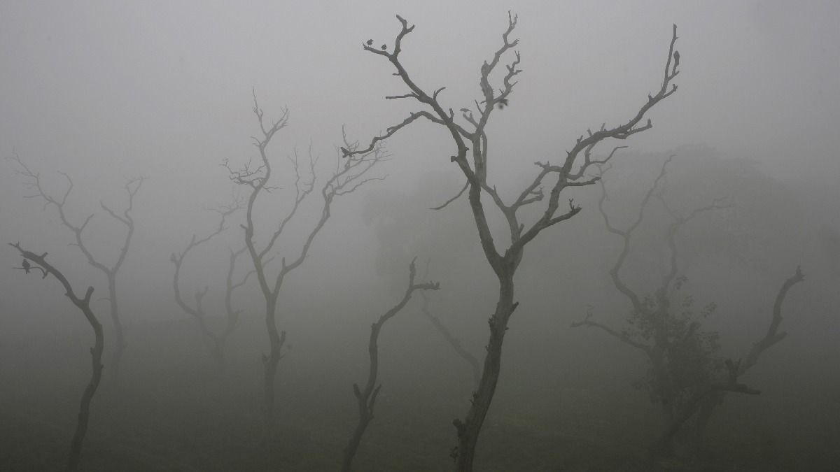Rajasthan weather: टूटने वाला है सर्दी का रिकॉर्ड! 30 नवंबर के बाद इन ज़िलों में 5 डिग्री तक लुढ़केगा पारा। Rajasthan Weather