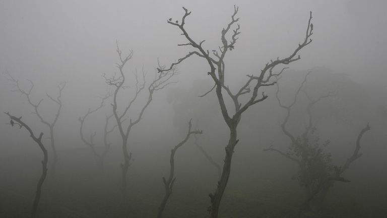 Rajasthan weather: टूटने वाला है सर्दी का रिकॉर्ड! 30 नवंबर के बाद इन ज़िलों में 5 डिग्री तक लुढ़केगा पारा। Rajasthan Weather