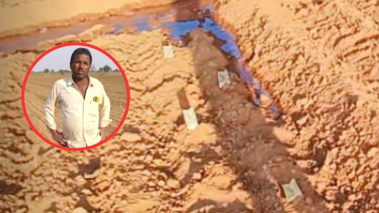 नागौर में किसान ने खेत में बोए 500-500 के नोट, वजह हैरान करने वाली, वायरल हुई दर्दभरी कहानी nagaur