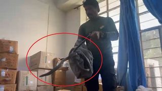 कोटा: सरकारी अस्पताल के ICU में 6 फीट लंबा सांप! मरीजों के बीच मची अफरा-तफरी, रेस्क्यू वीडियो वायरल NewsTak