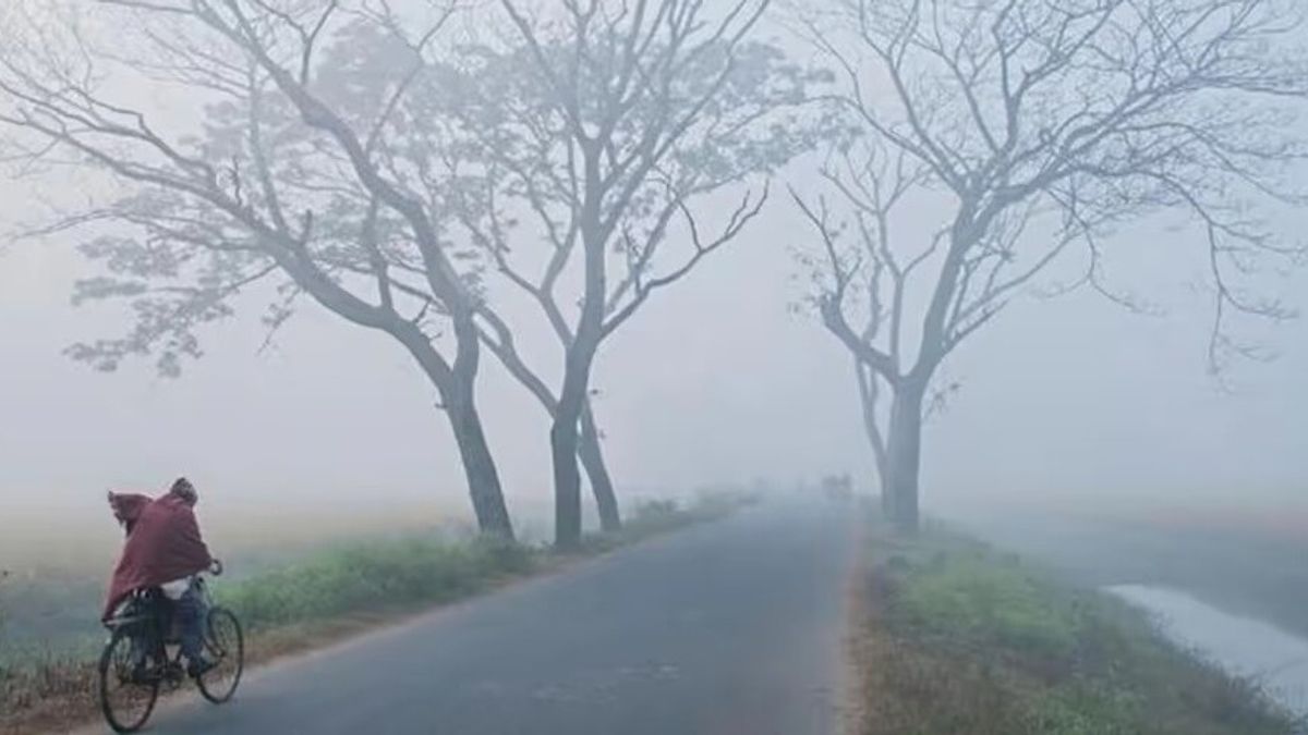 Bihar Weather Update: दिसंबर की शुरुआत के साथ ही बढ़ने लगी ठंड, कोहरा बना सबसे बड़ी परेशानी, जानें 3 दिसंबर का वेदर रिपोर्ट Bihar weather update 3 December