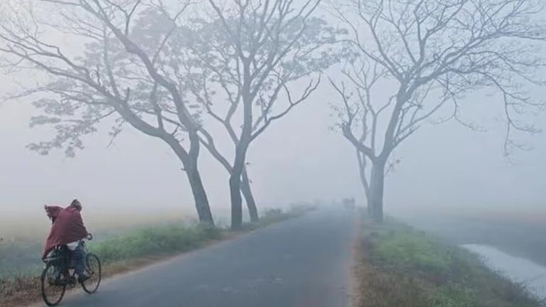Bihar Weather Update: दिसंबर की शुरुआत के साथ ही बढ़ने लगी ठंड, कोहरा बना सबसे बड़ी परेशानी, जानें 3 दिसंबर का वेदर रिपोर्ट Bihar weather update 3 December
