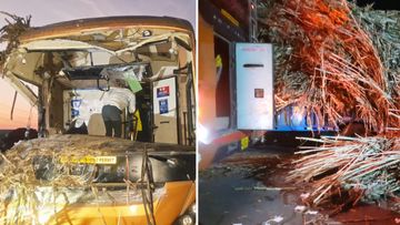 Doiwala Road Accident Doiwala Road Accident