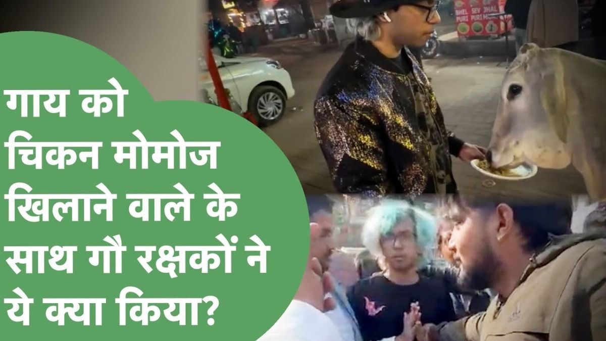 गुरुग्राम: युवक ने गाय को खिलाया चिकन मोमोज, ऐप पर टास्क पूरा कर रहा था, Video वायरल हुआ तो हो गई पिटाई NewsTak