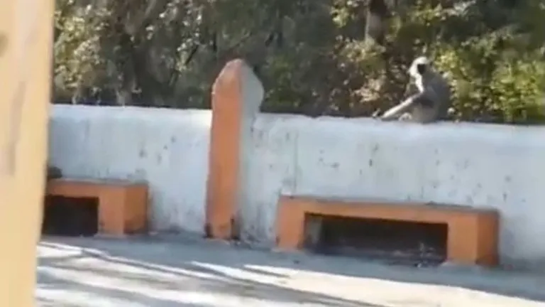 Taxi से मंदिर पहुंचे फिर पति-पत्नी ने बनाए शारीरिक संबंध, गुना में अश्लील हरकत करने वाले कपल की कहानी पता चली! guna