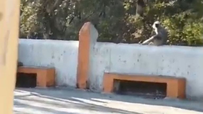 Taxi से मंदिर पहुंचे फिर पति-पत्नी ने बनाए शारीरिक संबंध, गुना में अश्लील हरकत करने वाले कपल की कहानी पता चली! guna