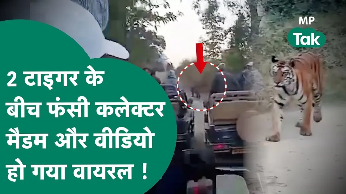 मध्य प्रदेश का ये वीडियो जमकर हो रहा है वायरल
