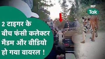 मध्य प्रदेश का ये वीडियो जमकर हो रहा है वायरल मध्य प्रदेश का ये वीडियो जमकर हो रहा है वायरल