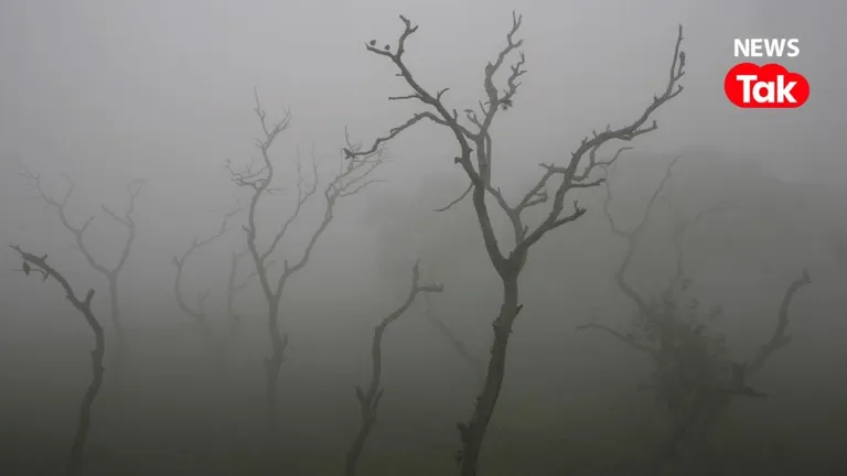 Rajasthan Weather: सुबह कोहरा, दिन में धूप...15 दिसंबर को राजस्थान में बारिश नहीं, जानिए पूरे प्रदेश का हाल Rajasthan weather