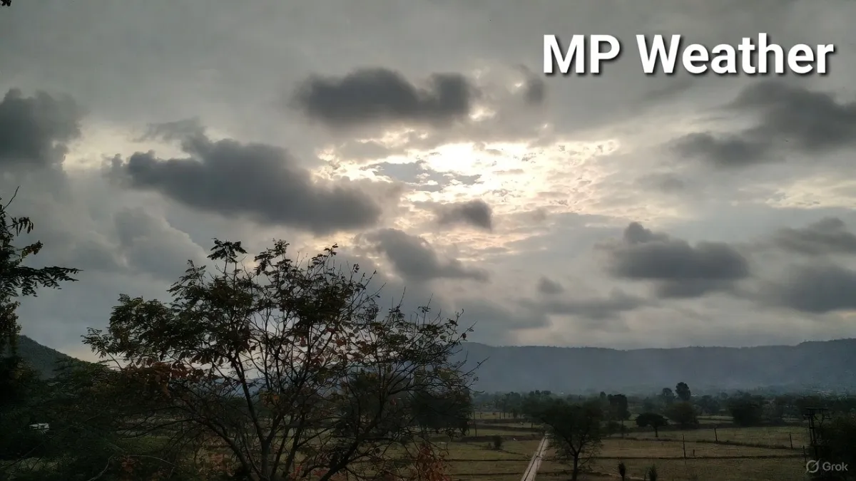 MP weather today