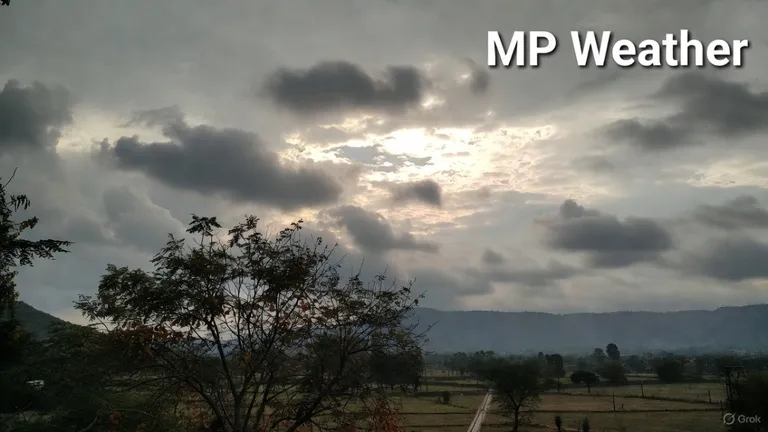 MP Weather Update: MP में 13 जिलों में ऑरेंज और 6 में येलो अलर्ट जारी, कोहरे की चादर में लिपटा प्रदेश, भीषण ठंड की चेतावनी MP weather today