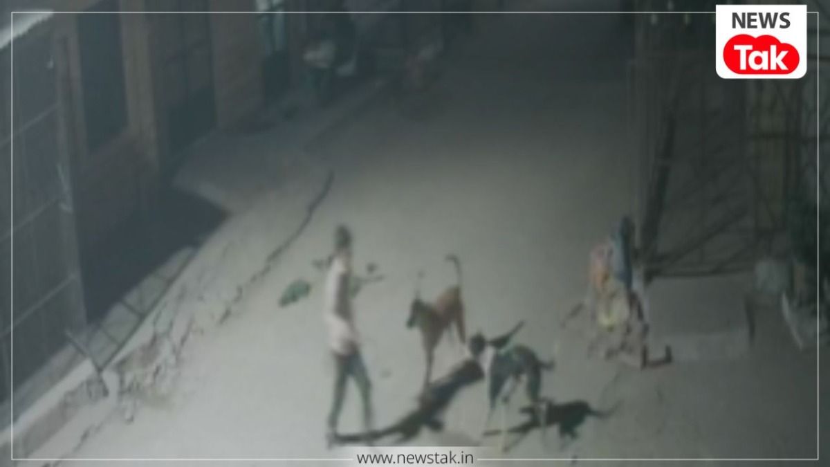 जोधपुर में 9 साल के बच्चे पर अवारा कुत्तों ने किया जानलेवा हमला, हाथ-पैर और सिर पर किया अटैक, CCTV देखिए jodhpur