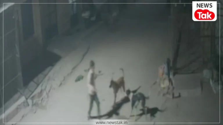 जोधपुर में 9 साल के बच्चे पर अवारा कुत्तों ने किया जानलेवा हमला, हाथ-पैर और सिर पर किया अटैक, CCTV देखिए jodhpur