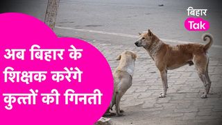 बिहार के शिक्षकों की बढ़ी टेंशन! अब बच्चों को पढ़ाने के साथ-साथ करनी होगी 'कुत्तों की गिनती', जानें क्या है पूरा मामला NewsTak