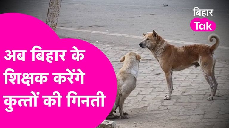 बिहार के शिक्षकों की बढ़ी टेंशन! अब बच्चों को पढ़ाने के साथ-साथ करनी होगी 'कुत्तों की गिनती', जानें क्या है पूरा मामला बिहार में टीचर्स की नई जिम्मेदारी